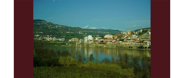 As Festas das Vindimas de Lamego decorrem de 11 a 13 de setembro de 2026. Acompanhe os desfiles, a gastronomia e os vinhos do Douro.