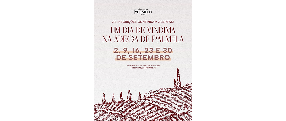 A Adega de Palmela disponibiliza programas de corte de uvas, pisa a pé e alojamento durante as quartas-feiras de setembro de 2026.