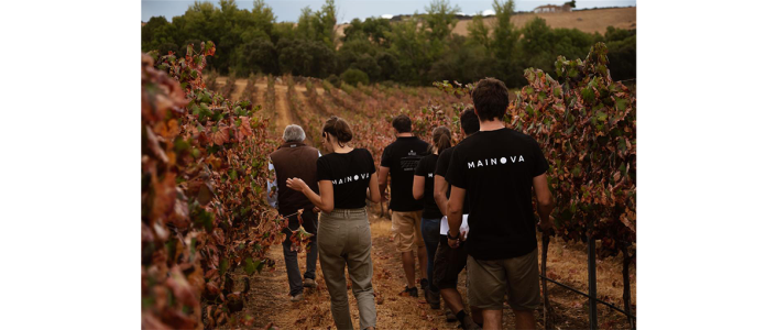 Participe na Moinante Experience na Mainova 2026 em Arraiolos a 5 de setembro