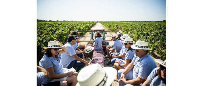 Participe nas Vindimas 2026 Quinta de São João Batista a 5 de setembro