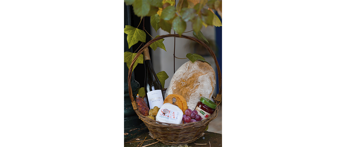 Participe no Vidigueira Wine Festival 2026 de 11 a 13 de setembro