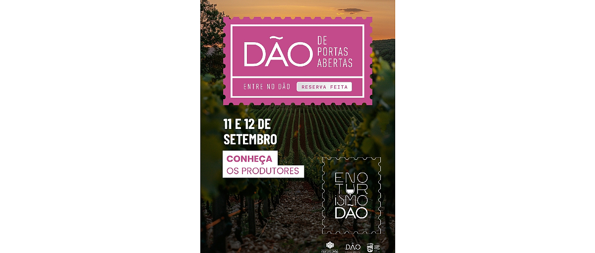 Oito quintas do Dão abrem portas em plena vindima
